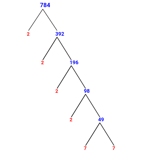 prime-factorization-of-784-with-a-factor-tree-mathondemand